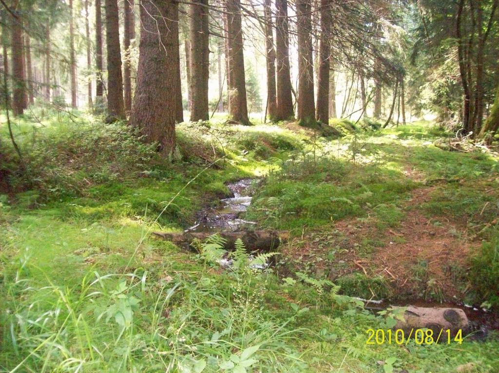 Hotel Burghof Oberweißbach Cameră foto
