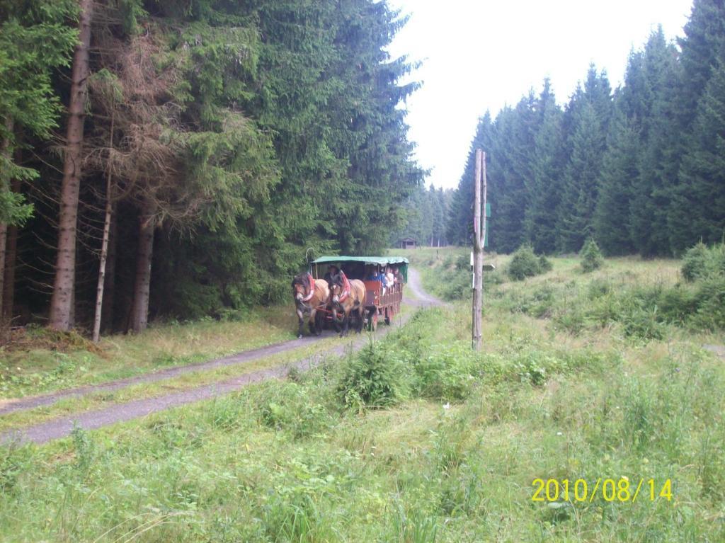 Hotel Burghof Oberweißbach Cameră foto